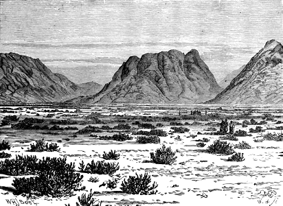 031 Mount Sinai