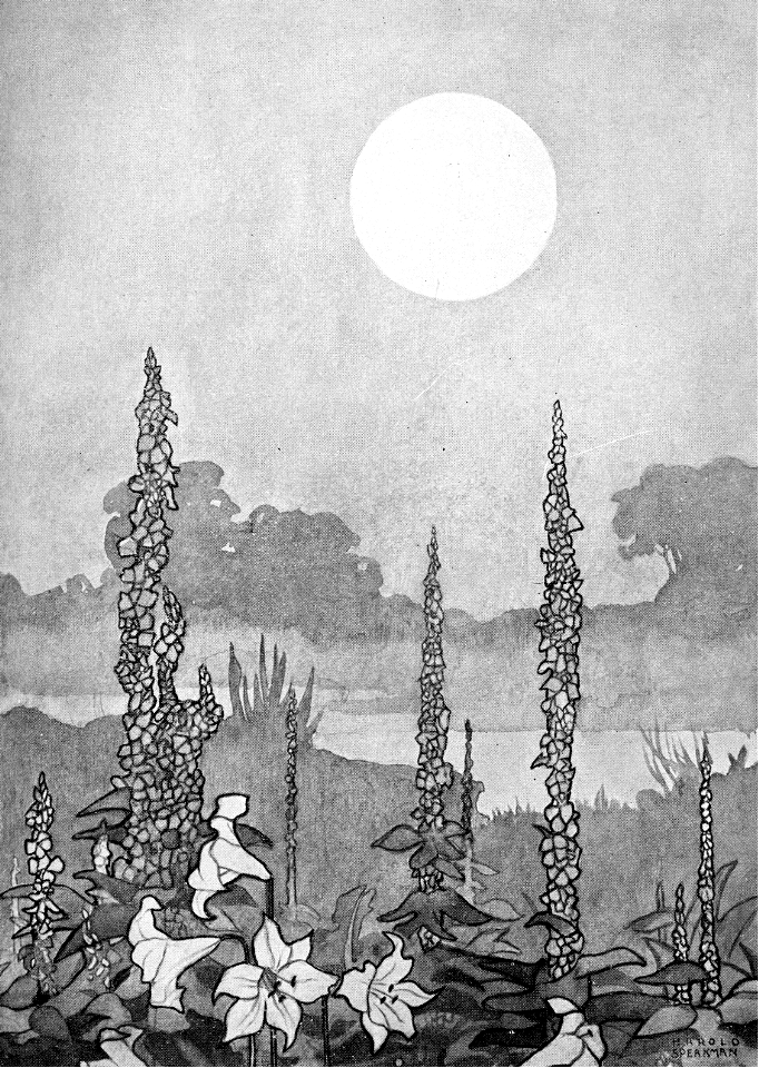 14 The morning of the Resurrection - In the garden, the soft silvery moonlight faded to gray