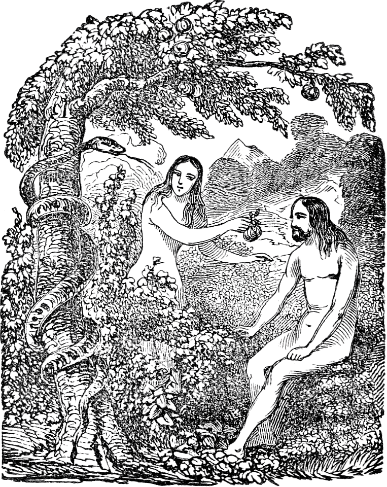 02 The Temptation and Fall