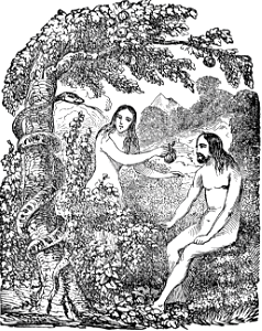 02 The Temptation and Fall