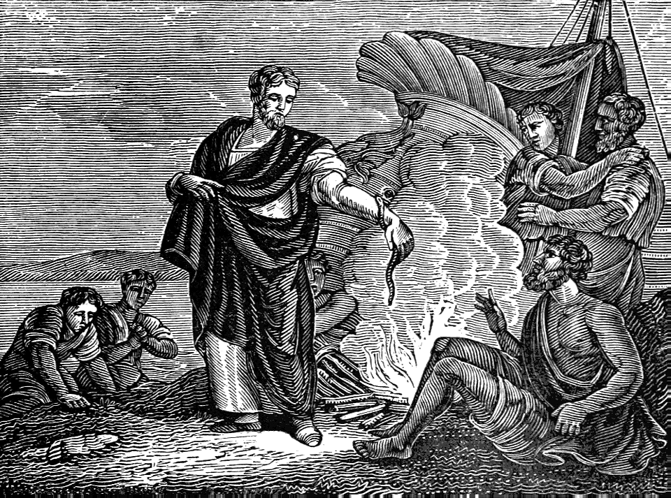 25 Acts 28 v04-05 Paul shipwrecked at Melita