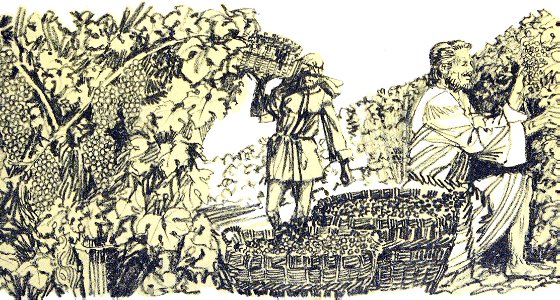 049 1 Corinthians 03 v09 You are Gods husbandry - comparing the Church to a cultivated filed