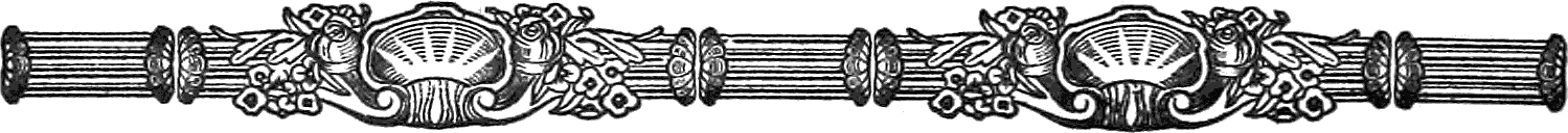 Ornament - Two Shells on a Bar