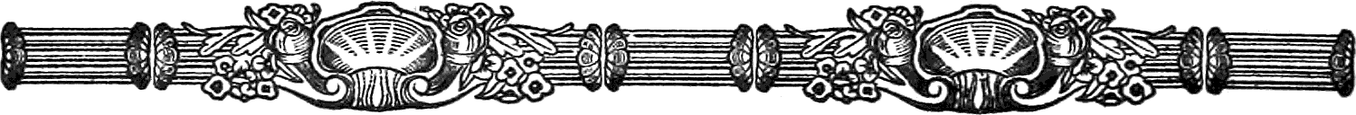 Ornament - Two Shells on a Bar