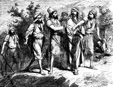 16 They try to throw Jesus off a Cliff