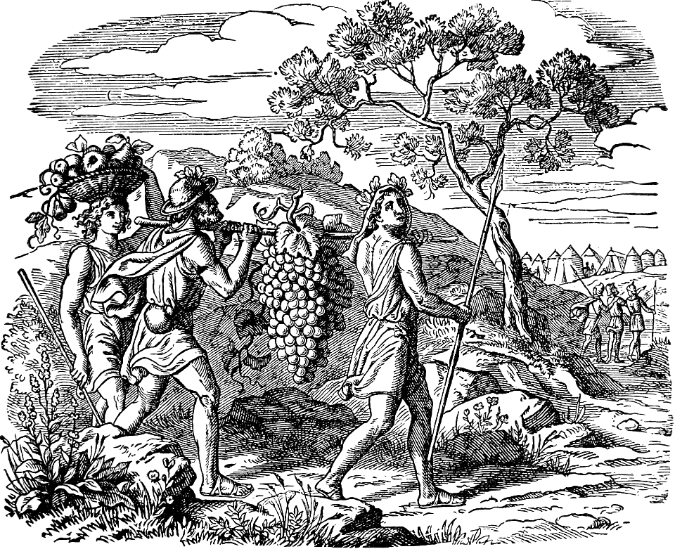 036 Numbers 13 Spies returning with Grapes