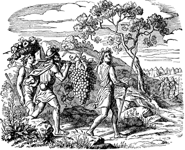036 Numbers 13 Spies returning with Grapes