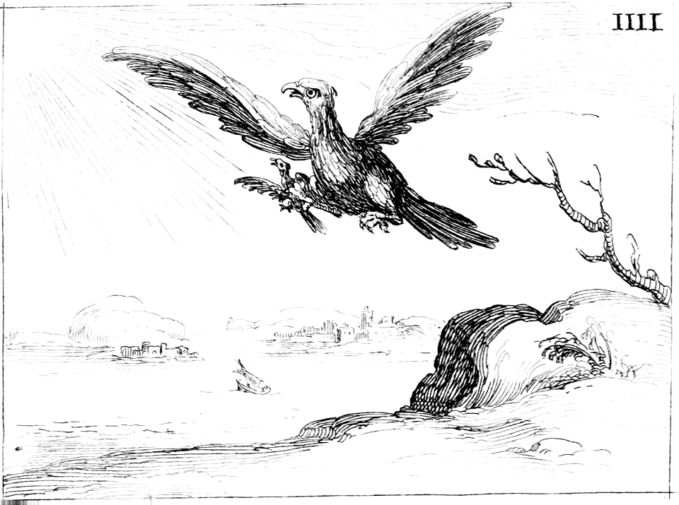 Eagle teaching baby to fly