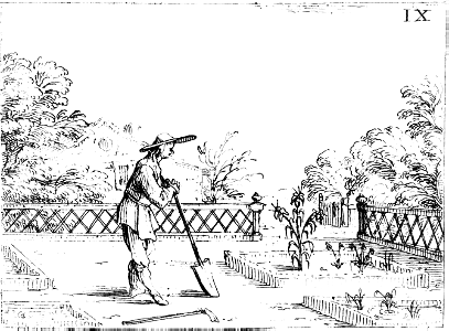 The Gardener admiring flowers