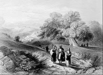 Fields of Bethany