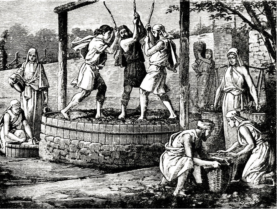 Eastern Wine Press - Treading the Grapes