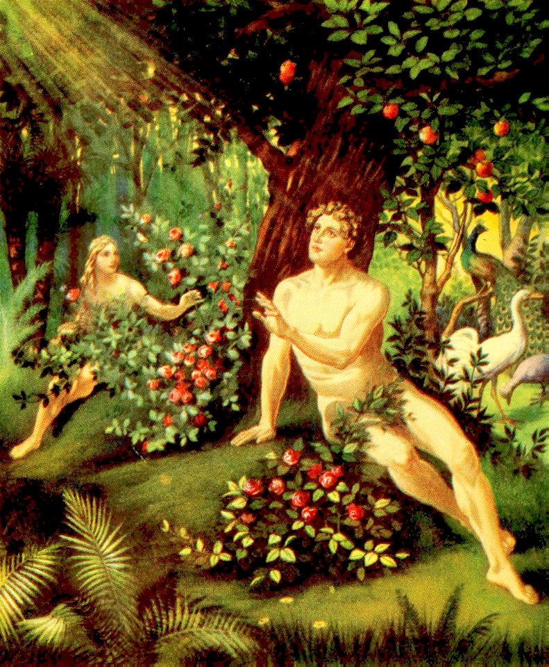 04 Genesis 01 v26-31; 02 v07-23 God creates Man
