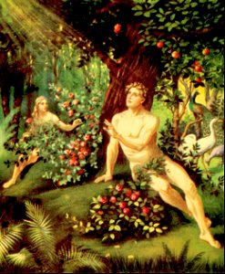 04 Genesis 01 v26-31; 02 v07-23 God creates Man