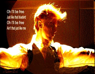 David Bowie - The White Duke