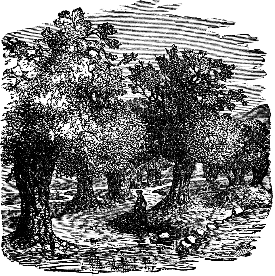 The brook Kedron