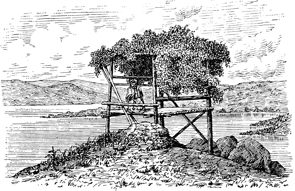 Temporary Shelter for Field-Watchmen