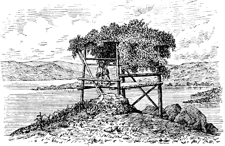 Temporary Shelter for Field-Watchmen