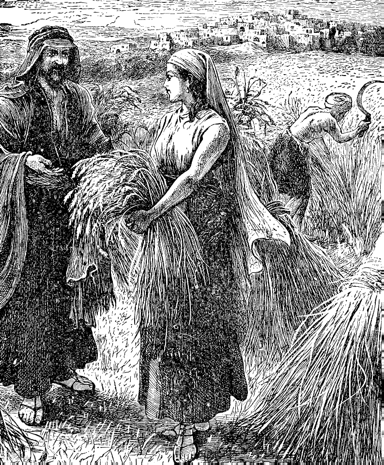 060 Ruth 02 v08 Ruth gleans in the Field of Boaz
