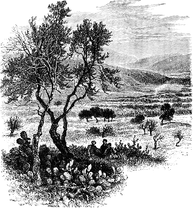 Hills of Galilee