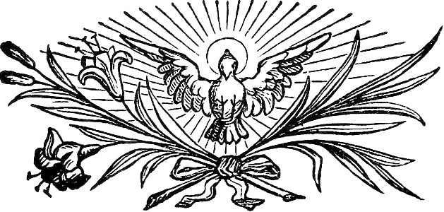 Lily and Spirit Dove