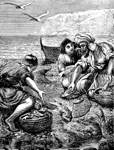 15 The Parable of the Net