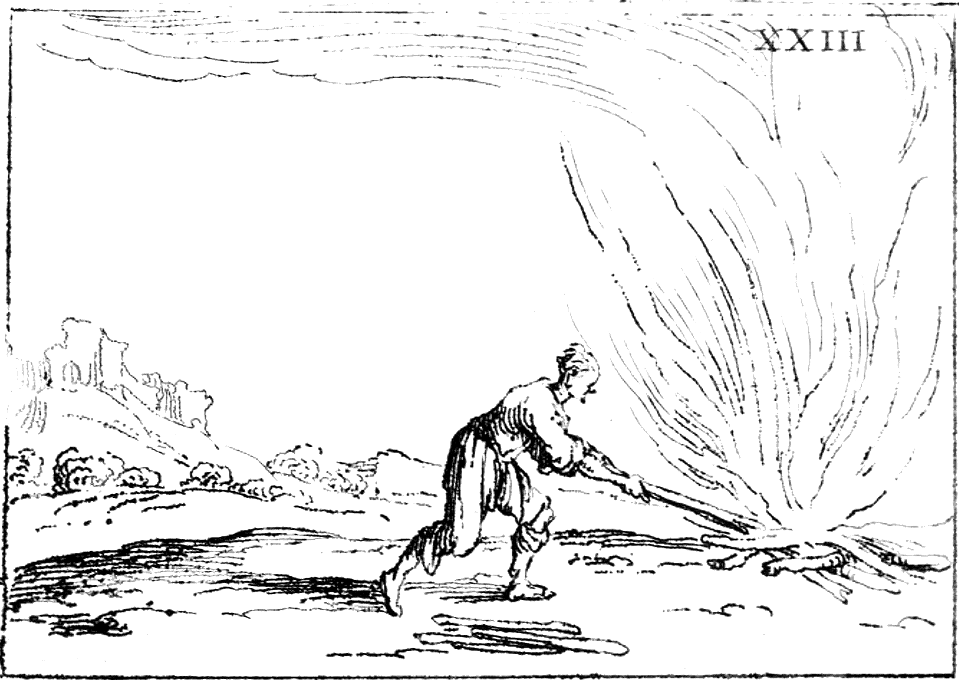 01b - Burning the diseased Branch in the Fire