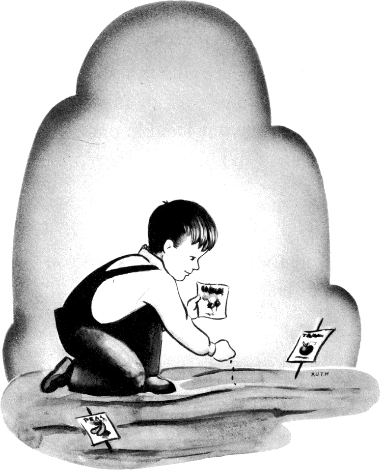 03 Boy planting Vegetable Seeds in the Garden