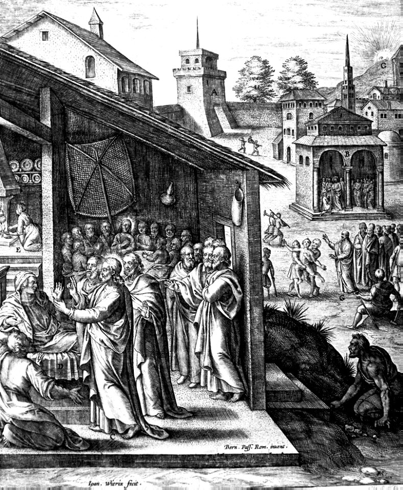 43 Matthew 08 v14-16 Christ heals Peters Mother in Law (Passeri)