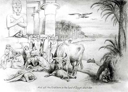 05 Exodus 11 v05 All the Firstborn in the land of Egypt shall die