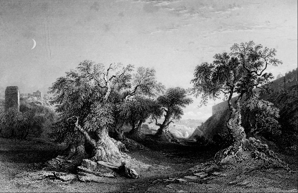 The Garden of Gethsemane