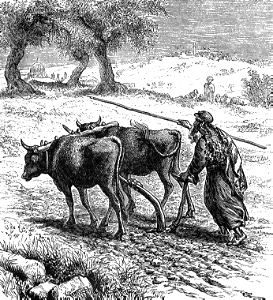 Ploughing