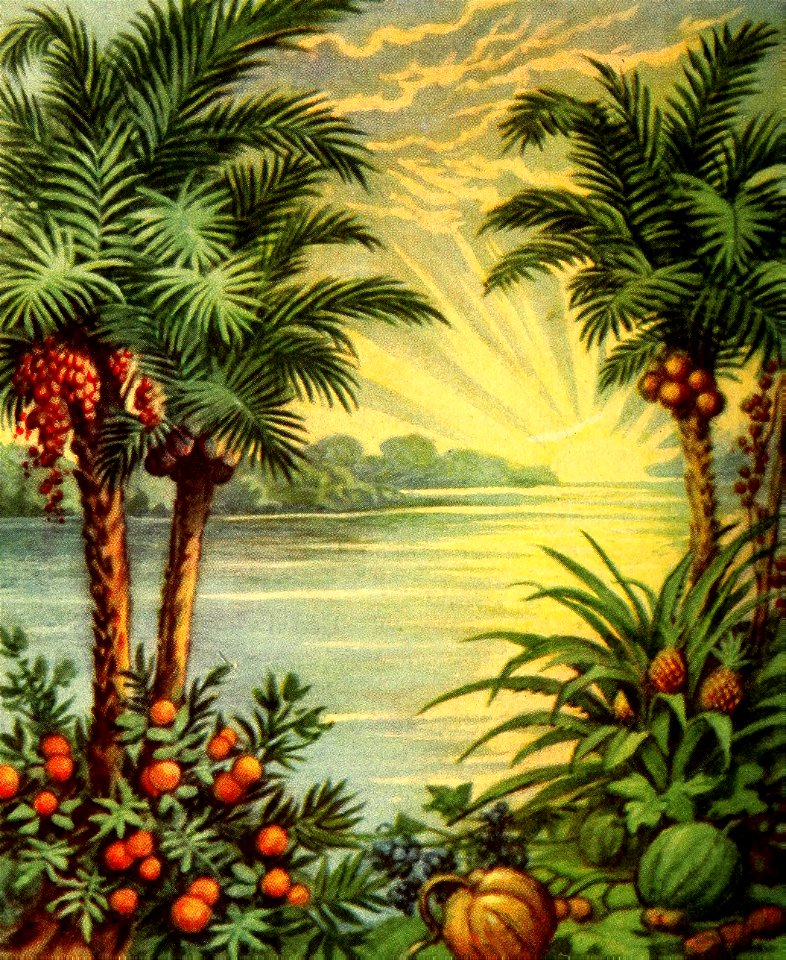 02 Genesis 01 v11-13; Psalm 104 v13-14 God creates the Plants