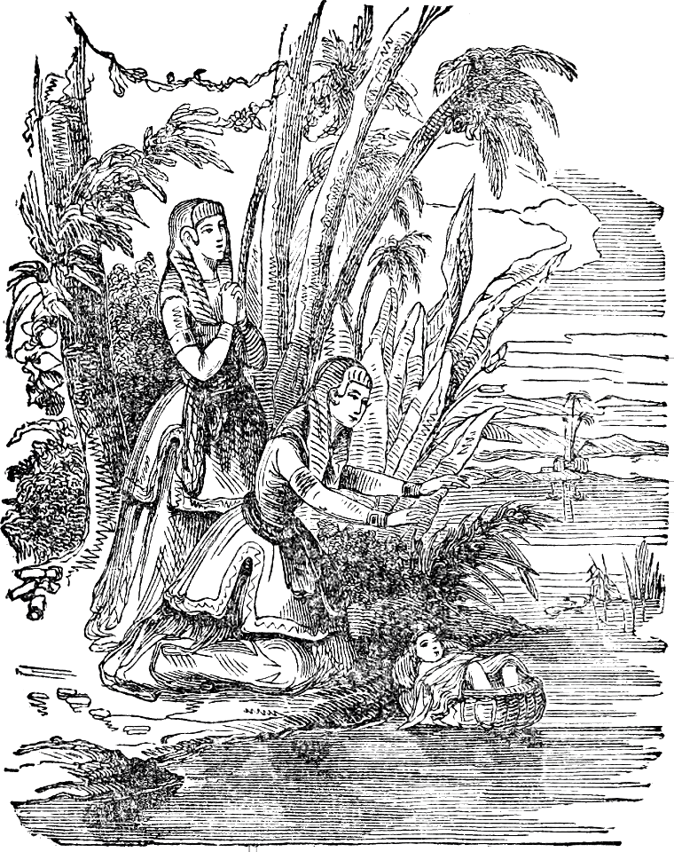 15 Moses is found floating in a Basket