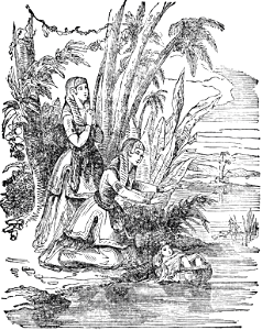 15 Moses is found floating in a Basket. Free illustration for personal and commercial use.