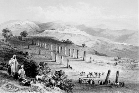 Colonnade at Sebaste, Samaria