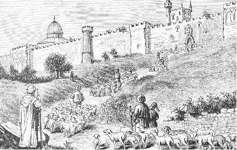 Wall in Jerusalem - The Sheep Gate