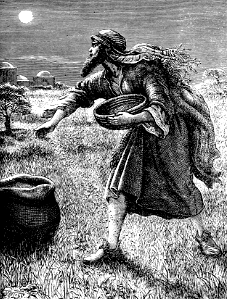 11 The Enemy sowing Tares