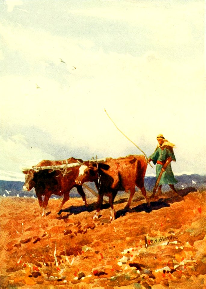 03 Ploughing in the East (Luke 09 v62)