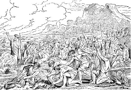 15 The Israelites gather the Armor and Weapons washed ashore at the Red Sea