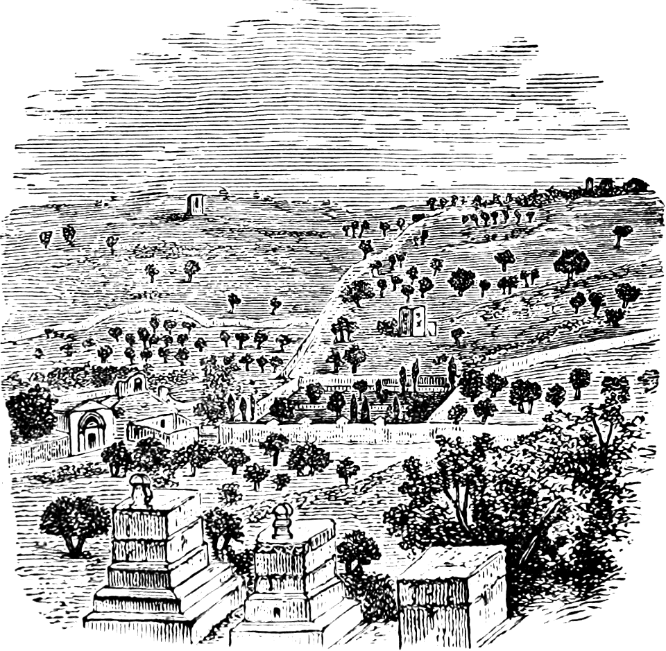 Garden of Gethsemane