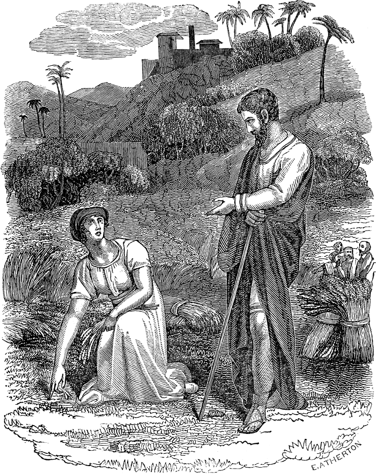 04 Ruth 02 v08 Boaz speaks to Ruth as she gleans in his Field