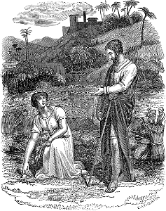 04 Ruth 02 v08 Boaz speaks to Ruth as she gleans in his Field. Free illustration for personal and commercial use.