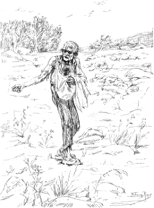 070 The Parable of the Sower (Rops 19th c)