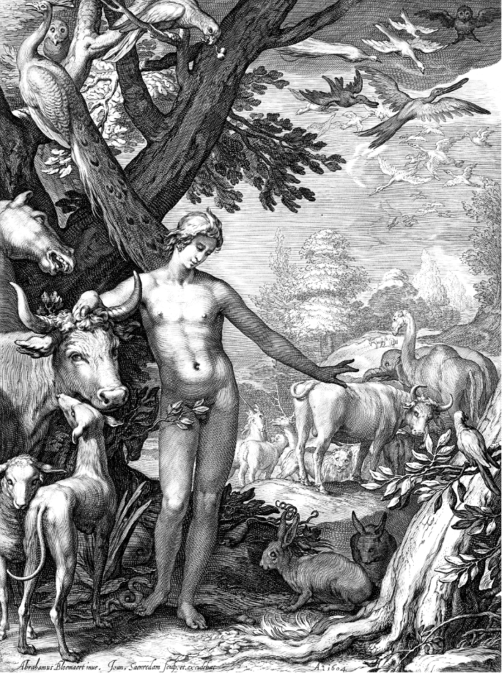 012 Adam Naming the Animals (Saenredam 1604)