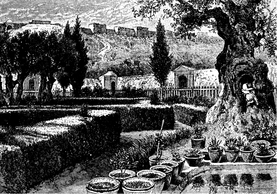 The Garden of Gethsemane and the Passion Tree (modern)