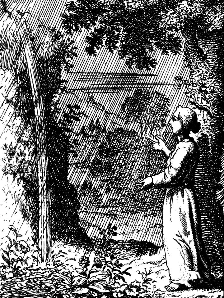 16 Isaiah 55 v10-11 - The word is like the rain, which will cause growth