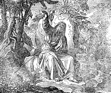 32 Elijah being fed by the Birds