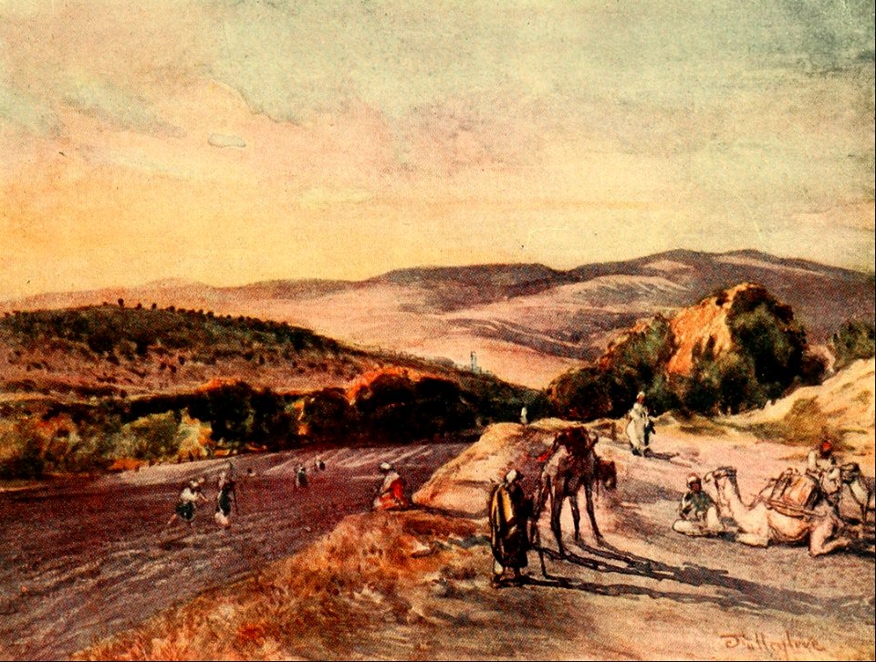 09 1 Kings 16 He bought the hill of Samaria of Shemer