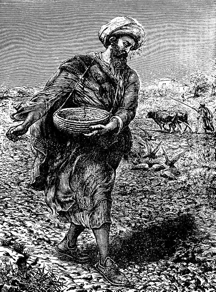 10 The Sower goes forth to Sow