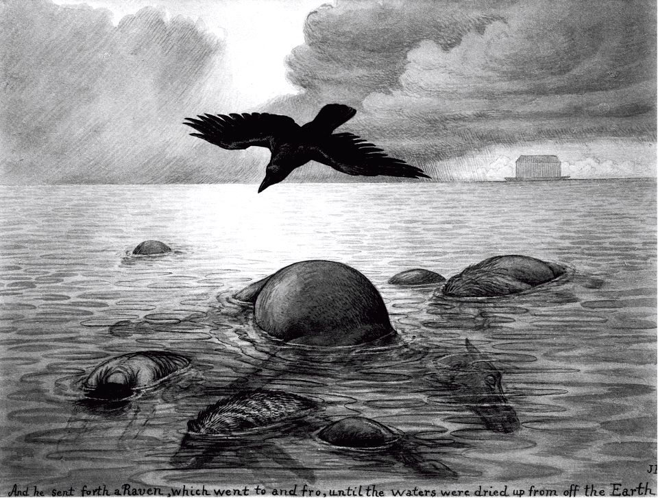 01 Genesis 08 v07 The Raven sent forth
